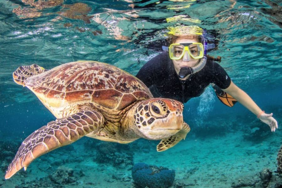 Private Sunrise Snorkeling Trip